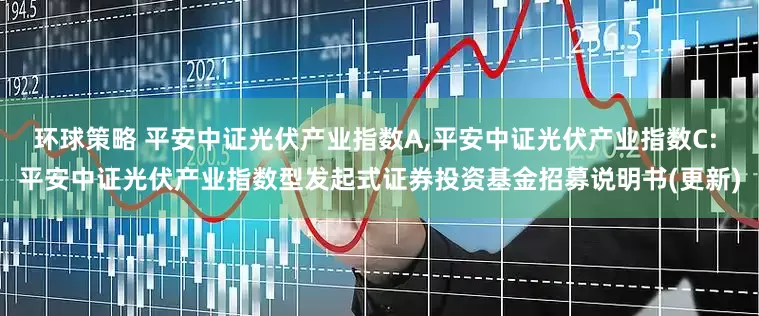 环球策略 平安中证光伏产业指数A,平安中证光伏产业指数C: 平安中证光伏产业指数型发起式证券投资基金招募说明书(更新)