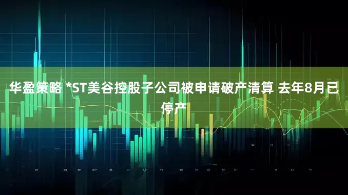 华盈策略 *ST美谷控股子公司被申请破产清算 去年8月已停产