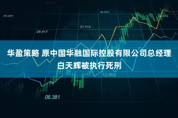 华盈策略 原中国华融国际控股有限公司总经理白天辉被执行死刑
