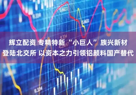 辉立配资 专精特新 “小巨人” 族兴新材登陆北交所 以资本之力引领铝颜料国产替代